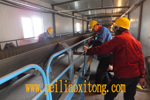 河北電子皮帶秤廣泛使用的決定性